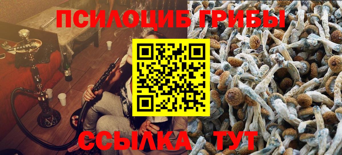Кингисепп  Галлюциногенные грибы мицелий  Псилоцибиновые грибы мухоморы  Вход с VPN 
