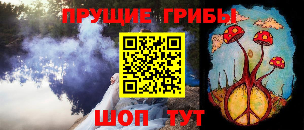 МЕФ Кингисепп