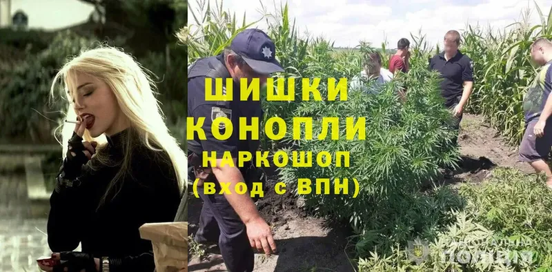 Марихуана SATIVA & INDICA  Кингисепп 